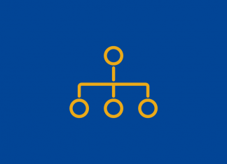 Organization – Governance